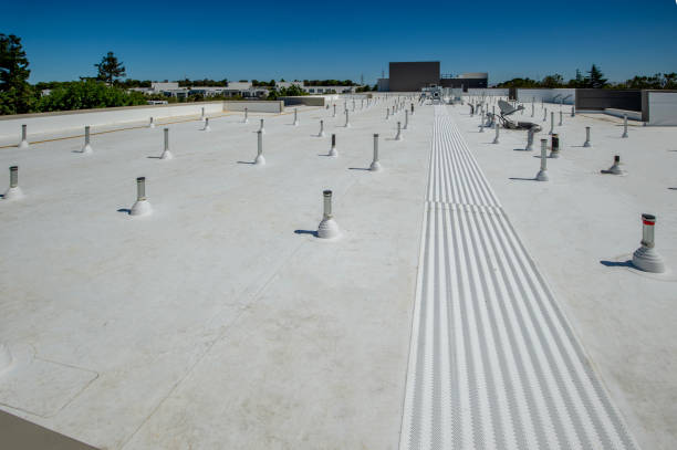 Best Sheet Metal Roofing  in Cascades, VA